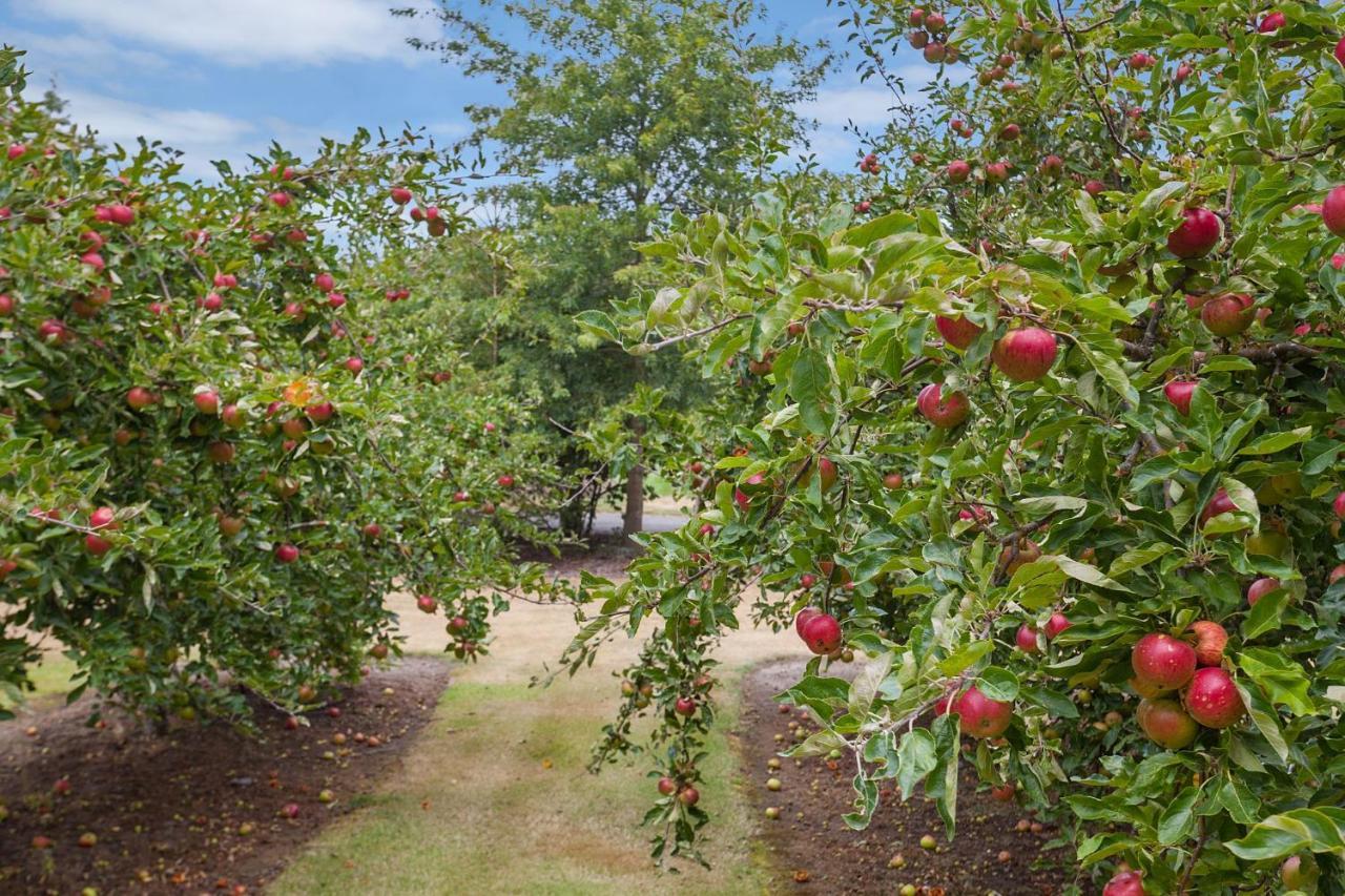 Clearwater Olive Estate Villa Christchurch Bagian luar foto